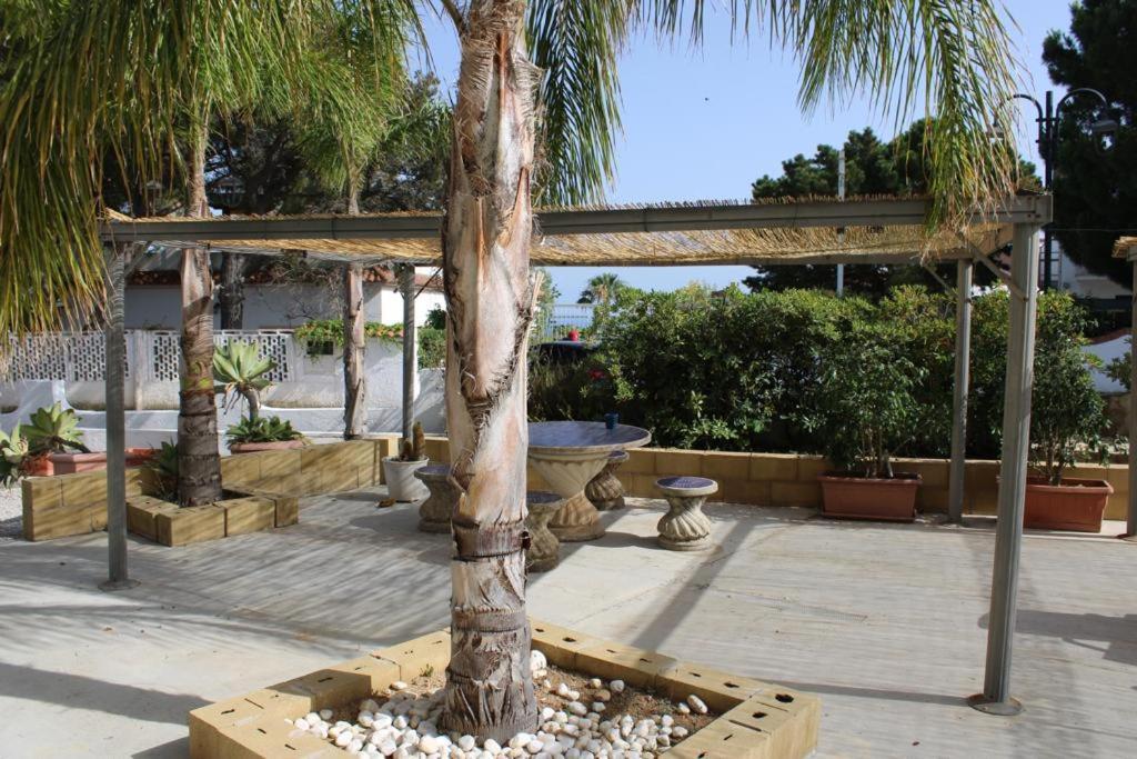 Graceland Rooms And Suites Capo Vaticano Dış mekan fotoğraf